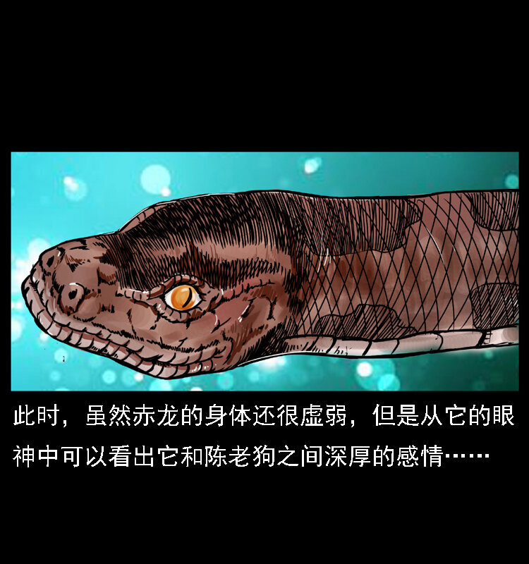 031 斗土蛟347