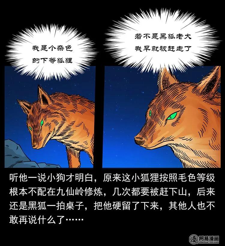 143 出马黑狐65