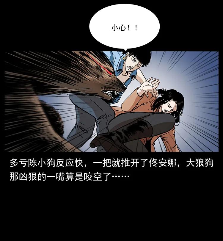 258 身后的危机38