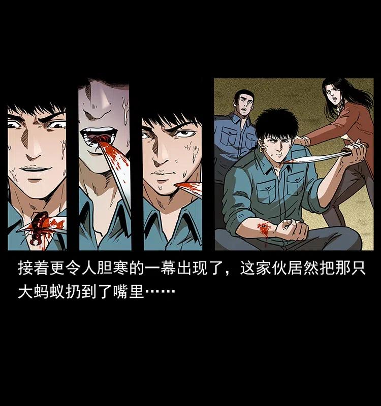 317 大漠凶兽43