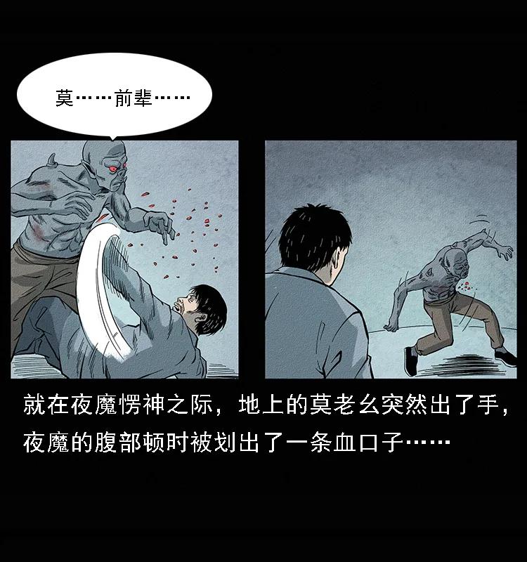 095 无害的杀手53