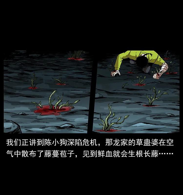 193 草蛊婆1