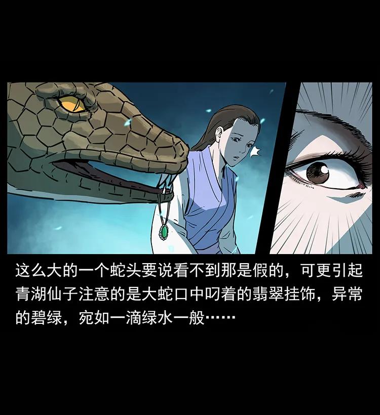 264 抚仙之战22