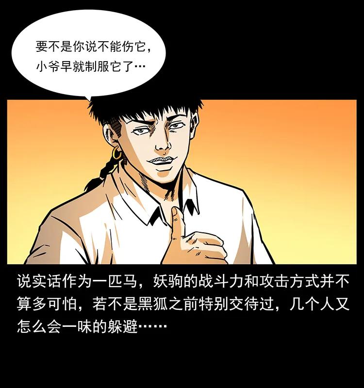 158 妖驹的选择38