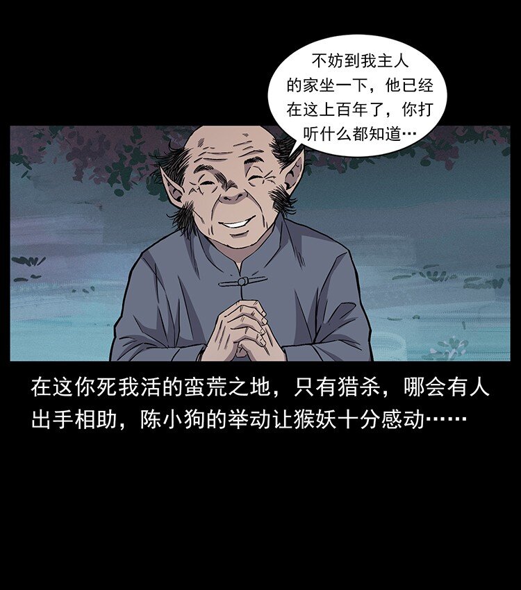 490 黑暗森林38