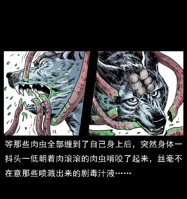082 鬼桃树71