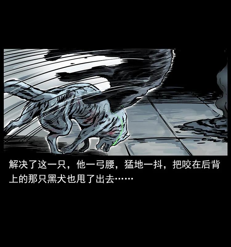 252 危机！危机31