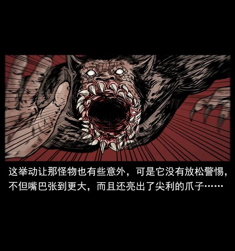 213 入皇陵11