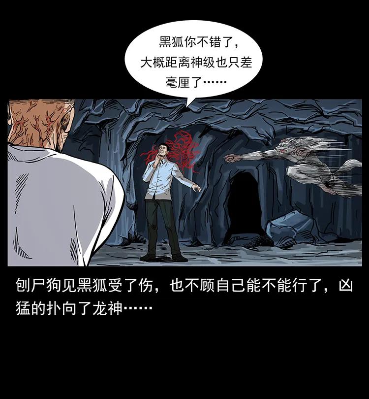 199 黑狐不好惹34