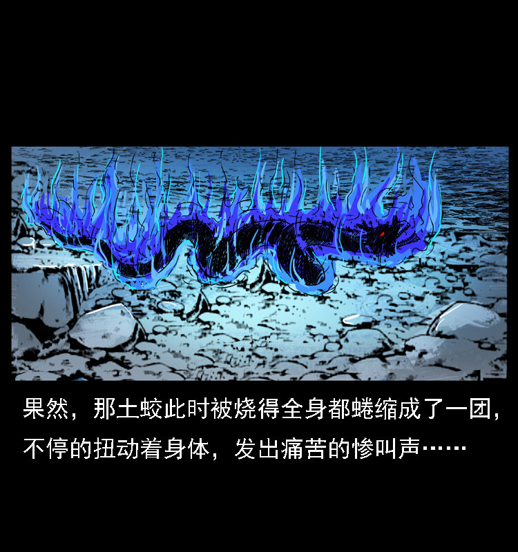 030 斗土蛟267