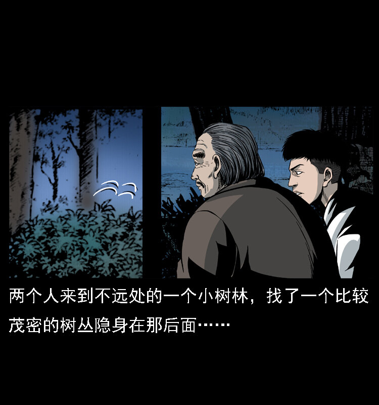 024 聚宝蟾8