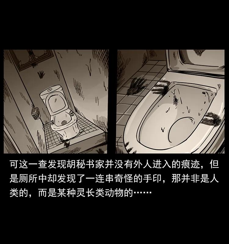 227 猴脑87