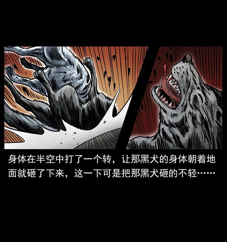 252 危机！危机6