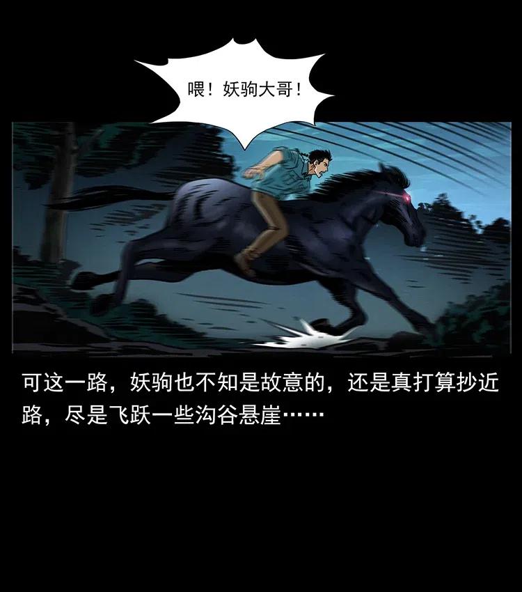 370 乌翅凤凰4
