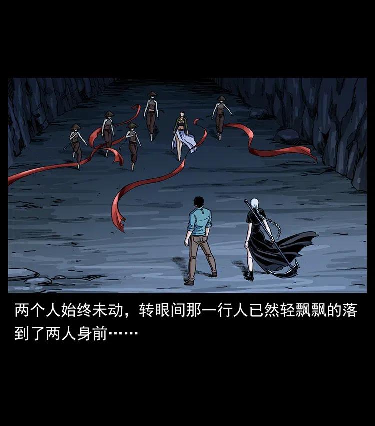 370 乌翅凤凰77