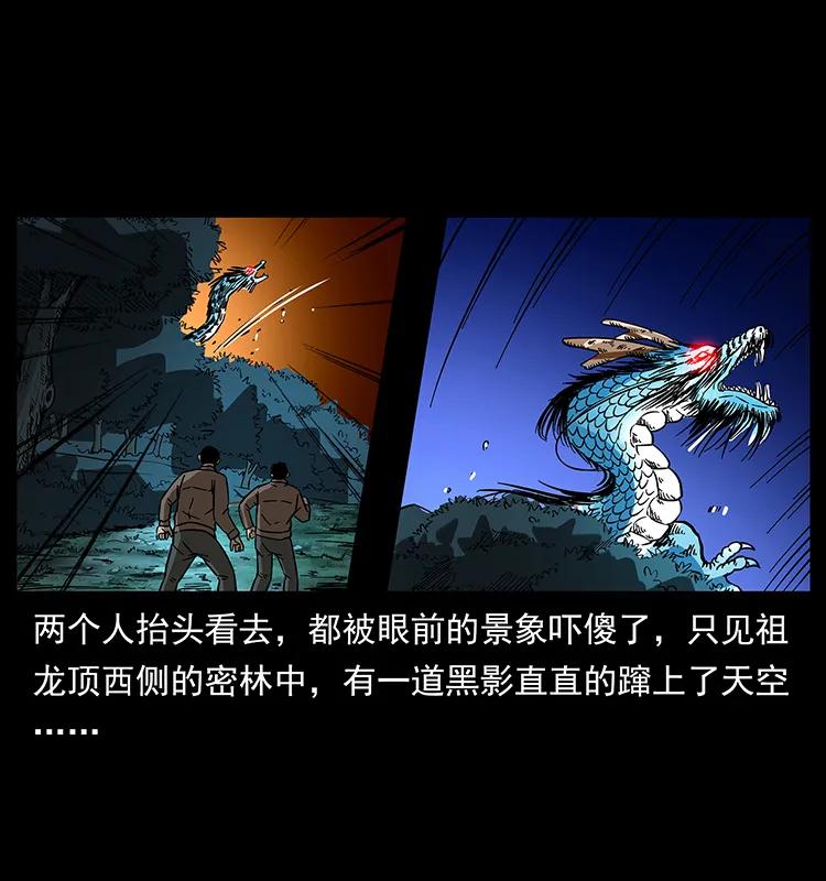 173 踏入龙家37
