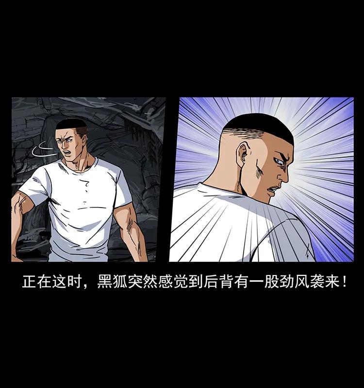 199 黑狐不好惹14