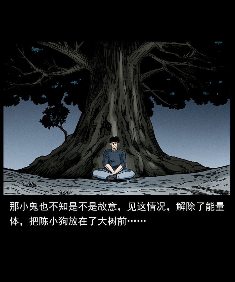 482 以树为启点59