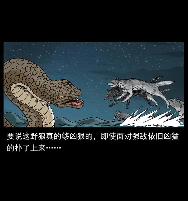 212 草原深处37