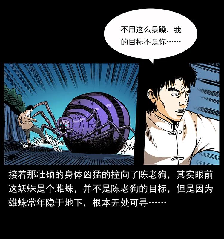 163 陈老狗下南疆18