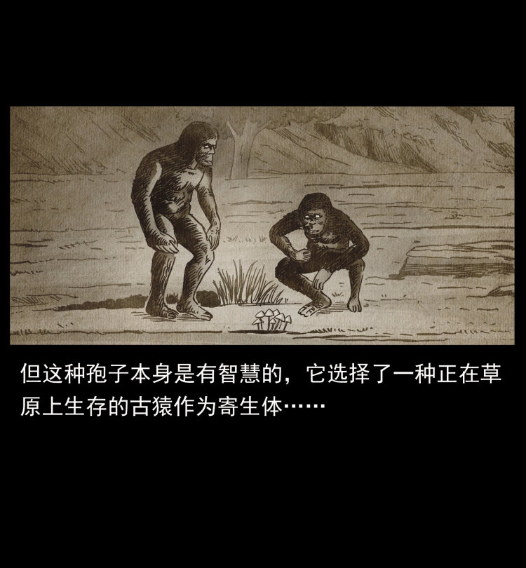 460 你才是猴子变的！25