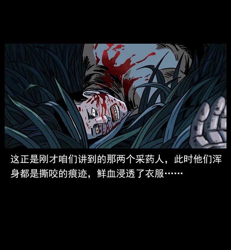 341 咒术71