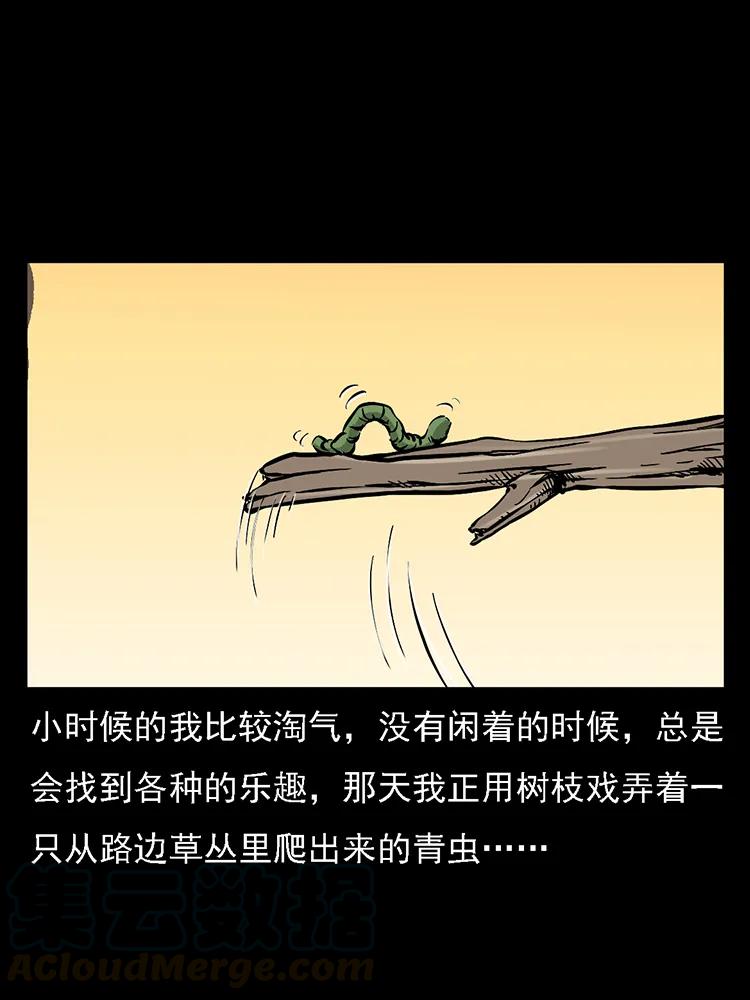 番外2 之保家白仙4