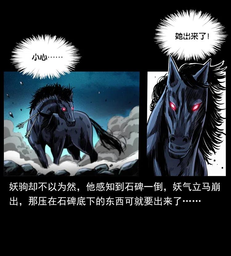 370 乌翅凤凰44