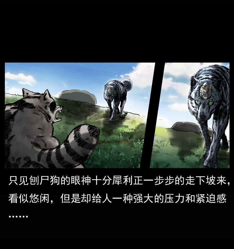 037 百雀丹（下）6