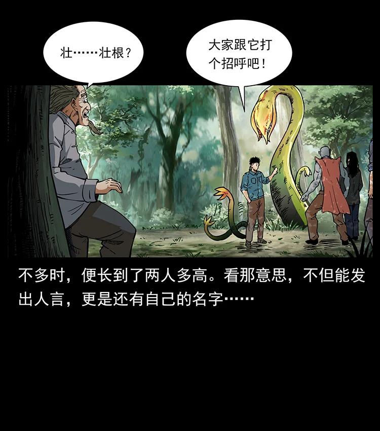 391 散仙29
