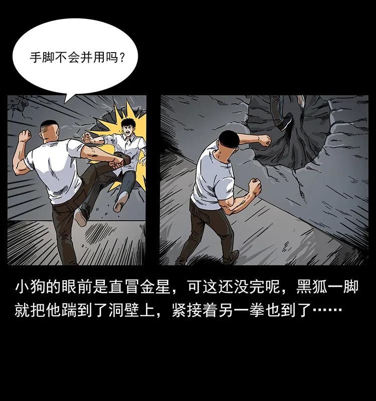 206 不断成长的陈小狗26
