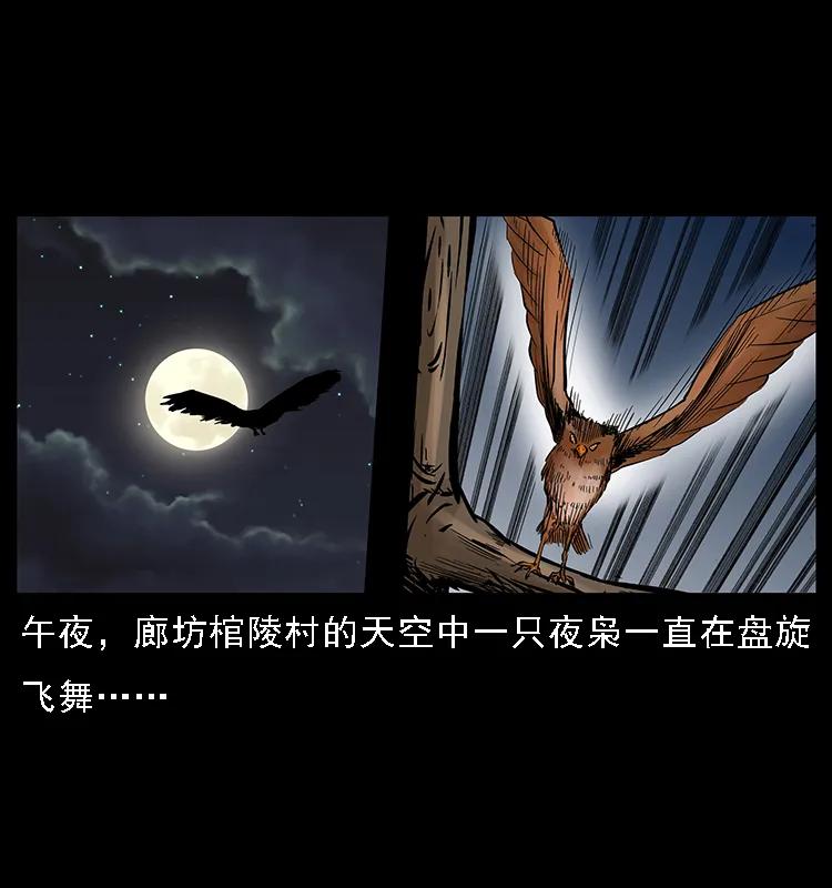 088 勾魂鸟夜枭1