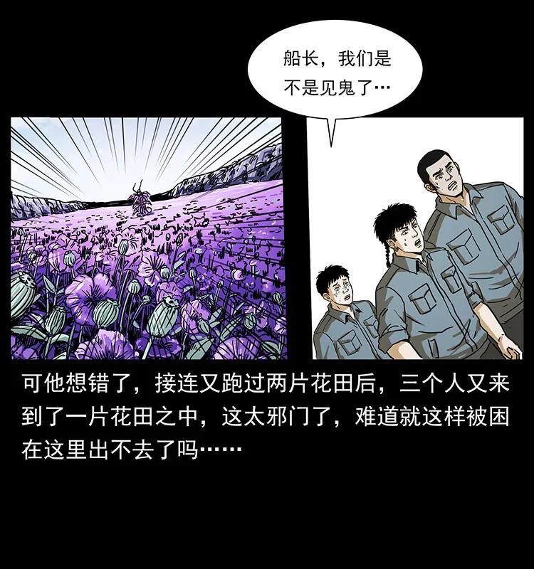 236 神秘的小岛61