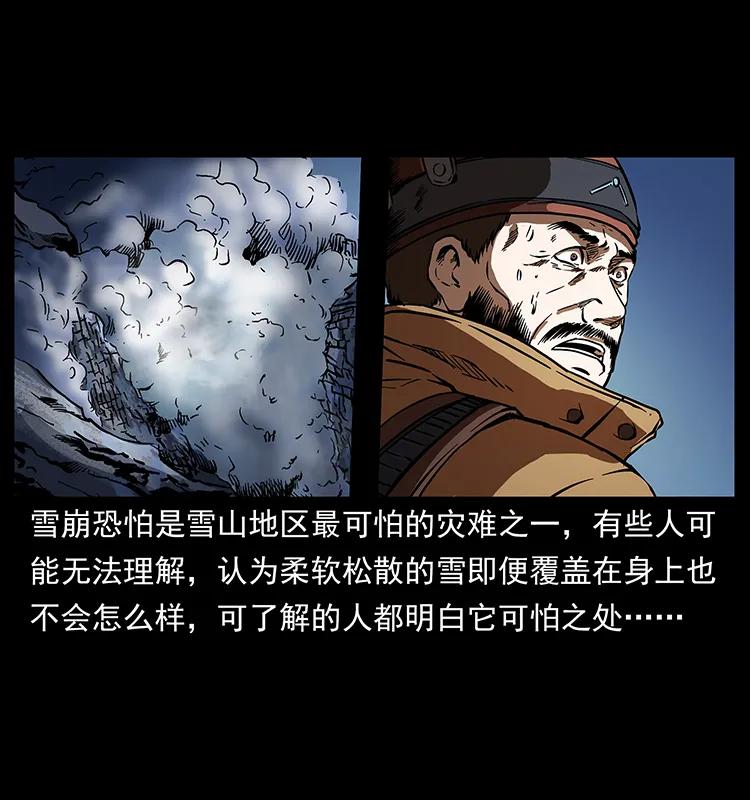 265 出发，乔戈里！19