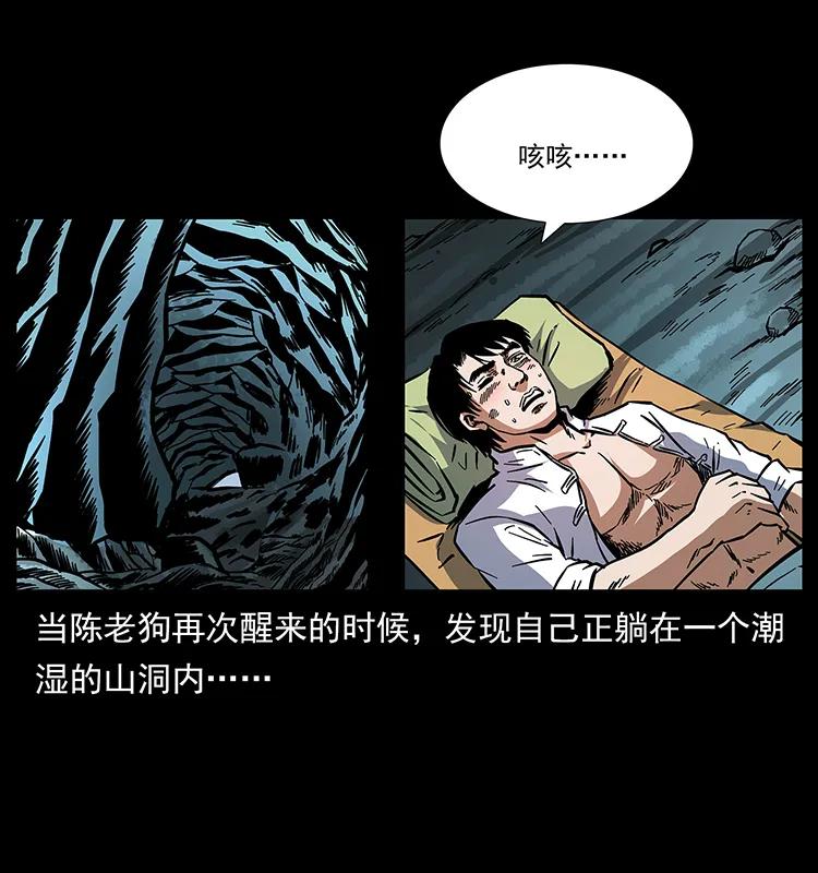 167 陈老狗遇险51