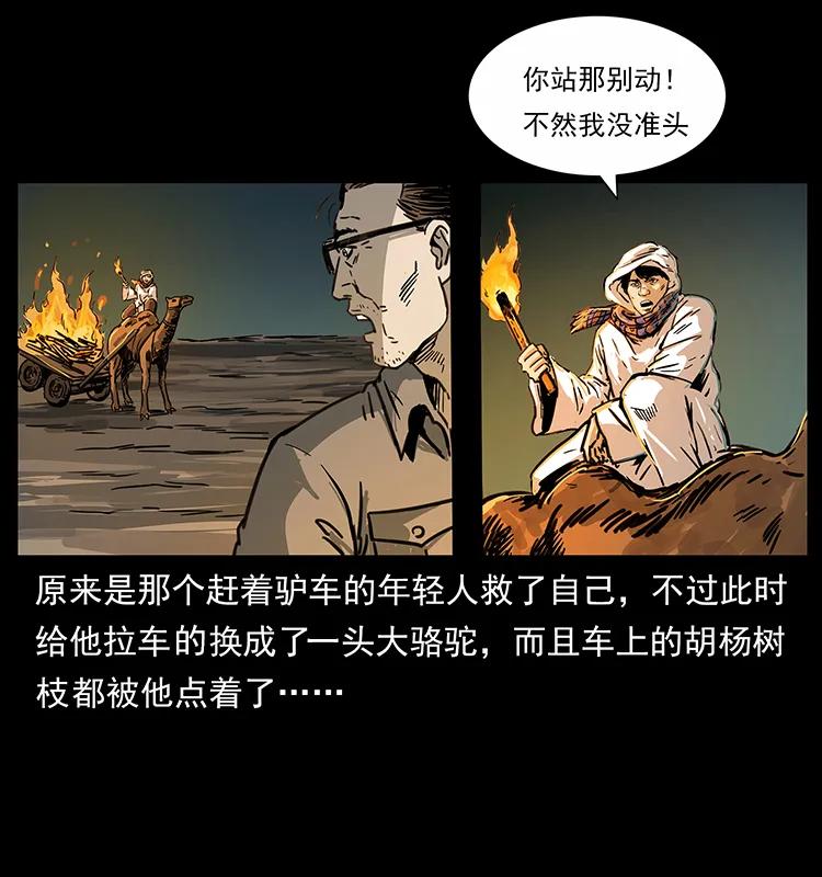 255 天阴石47