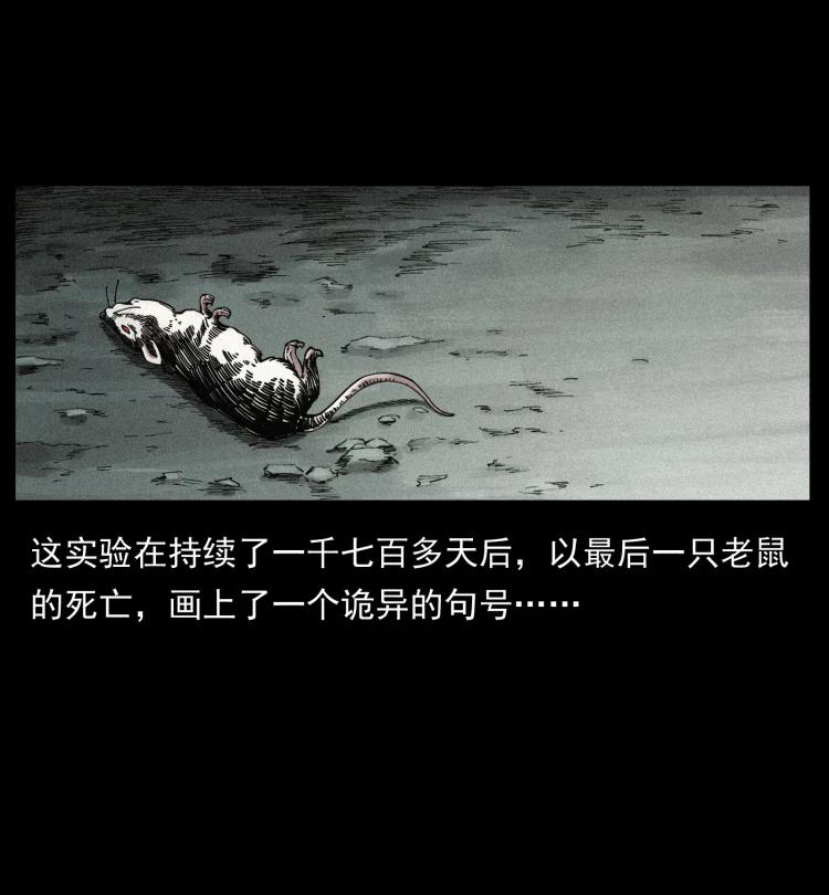394 殇50