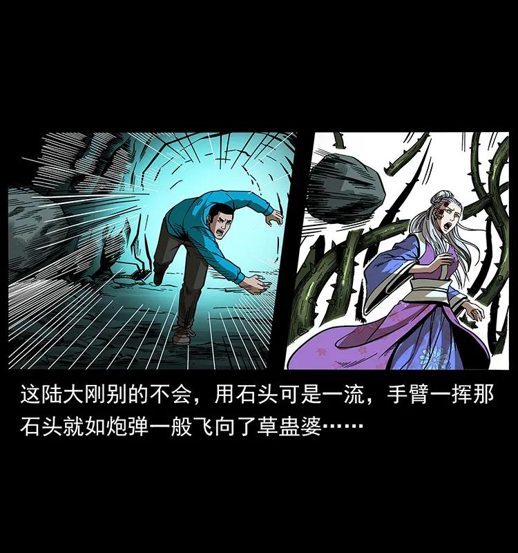 193 草蛊婆63