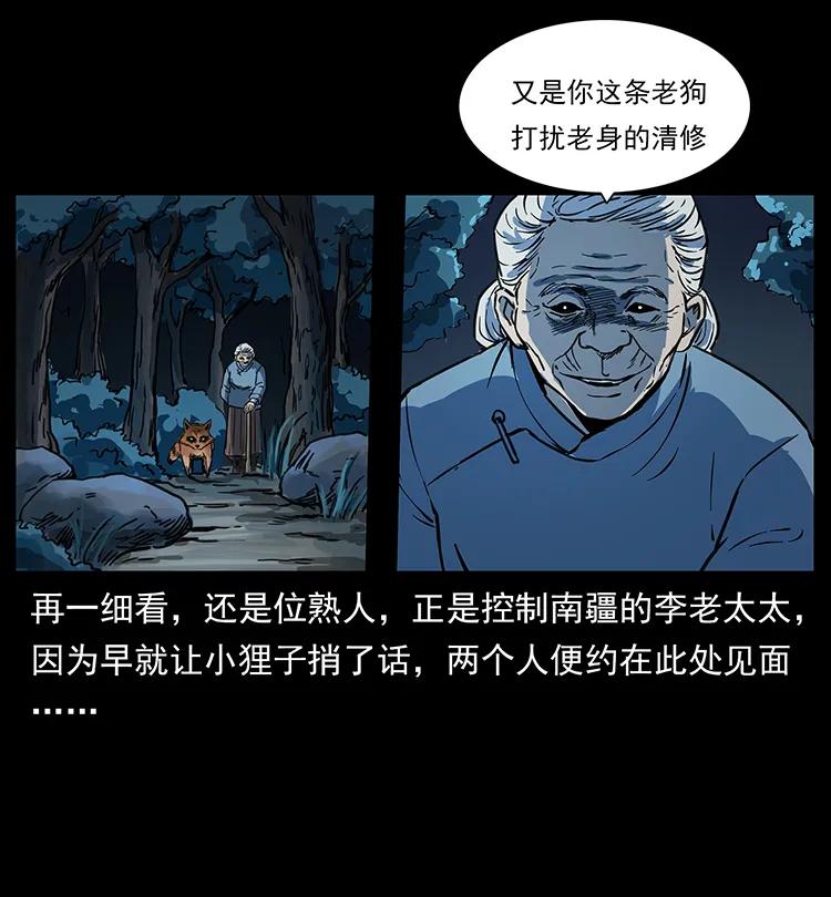 262 藏地神族51