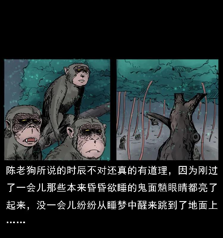 082 鬼桃树33