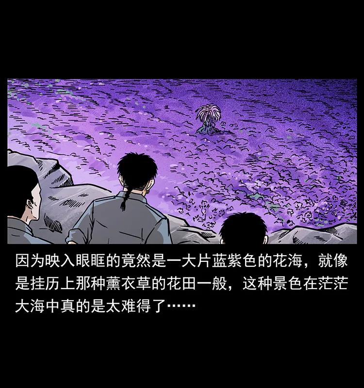 236 神秘的小岛37