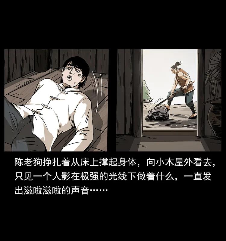 231 东海木龙51
