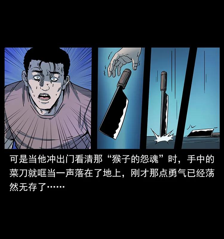 228 凶兽43