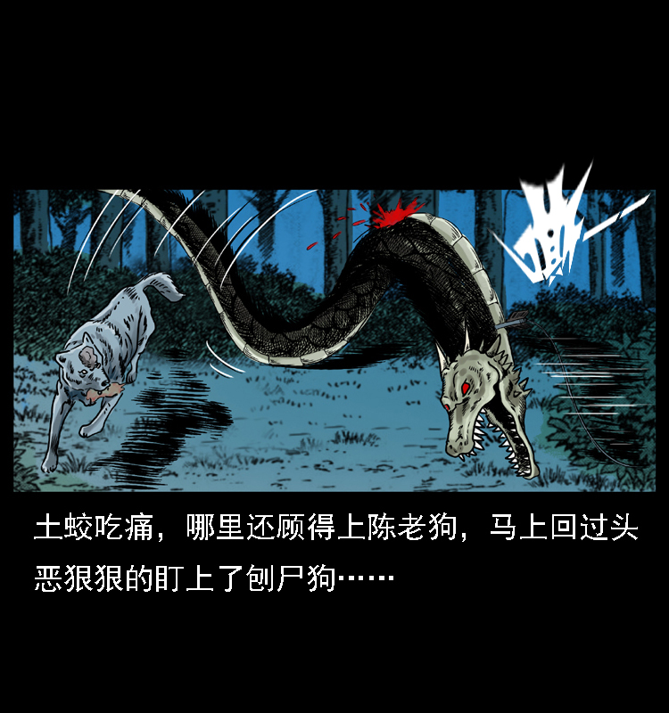 029 斗土蛟47
