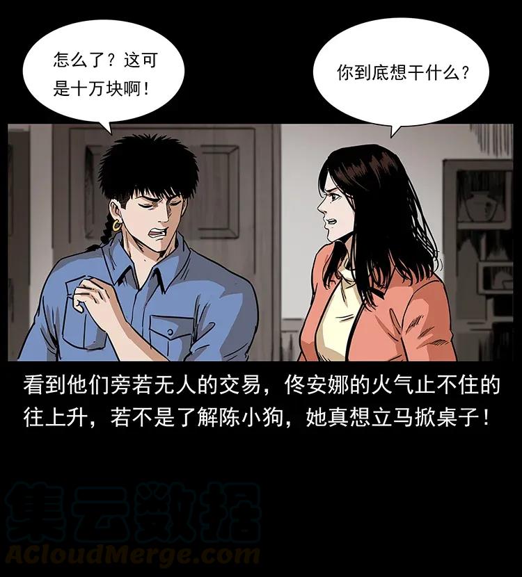 295 富人4