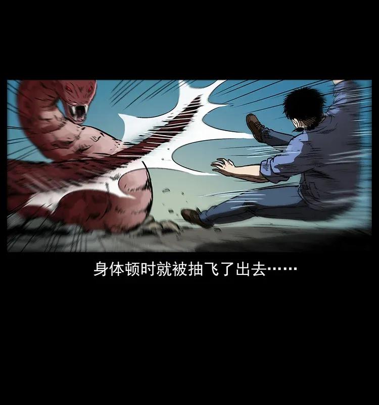 288 强者归队！43