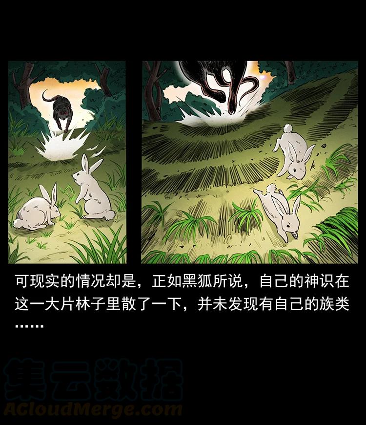 382 何处觅桃园、洪荒自有仙！3