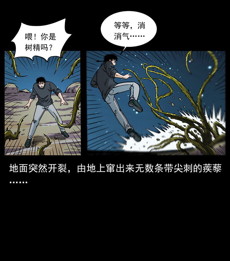 481 树55