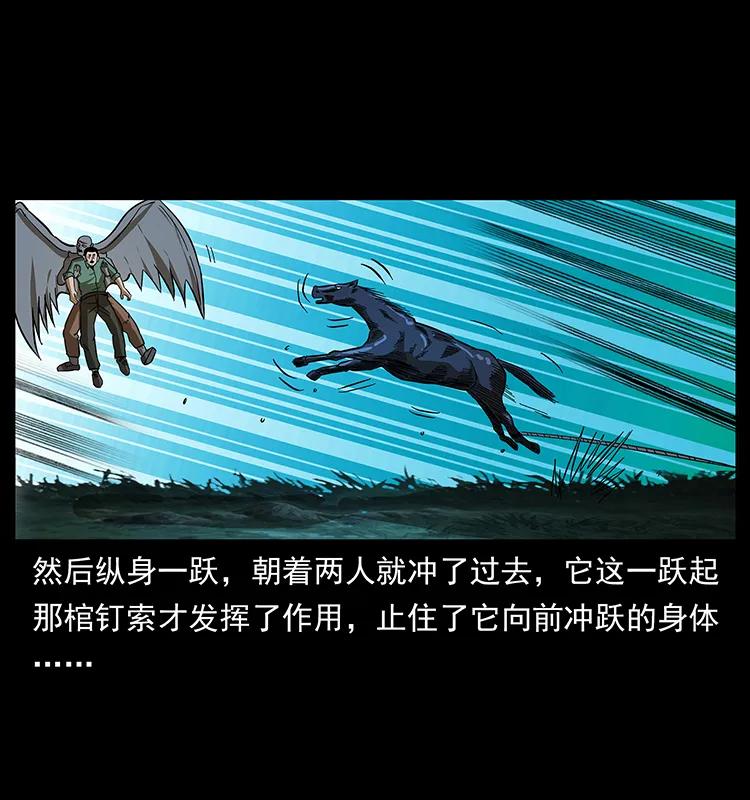 158 妖驹的选择29