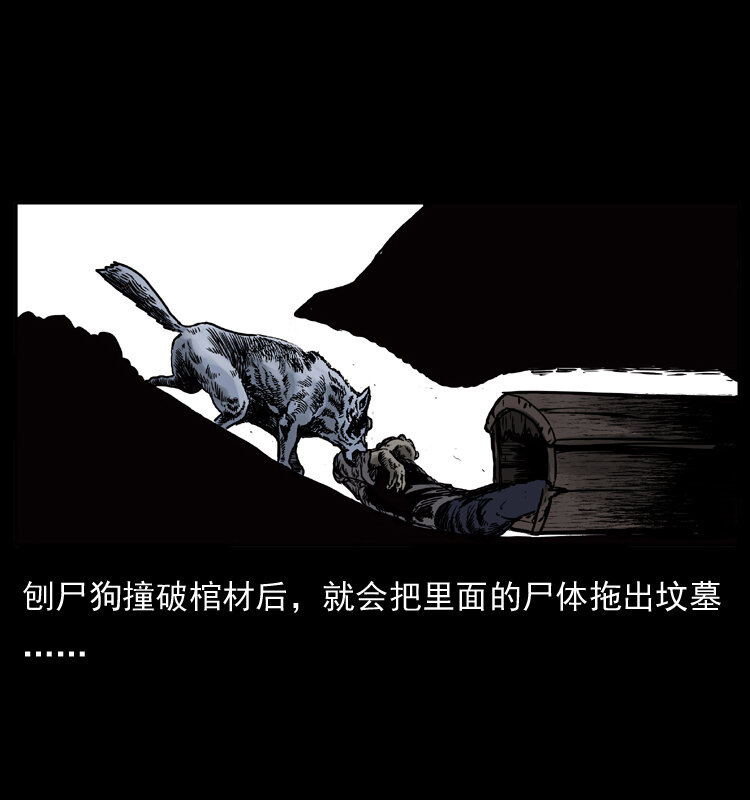 005 刨尸狗13